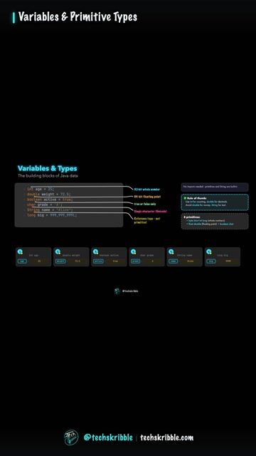 Variables & Primitive Types
