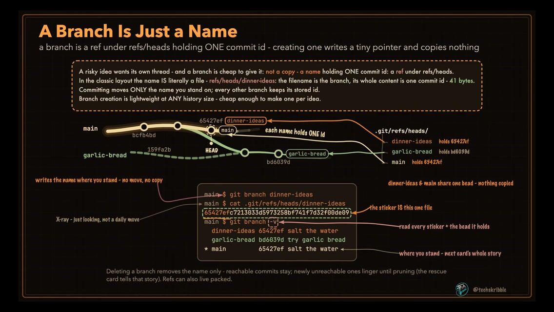 A Branch Is Just a Name